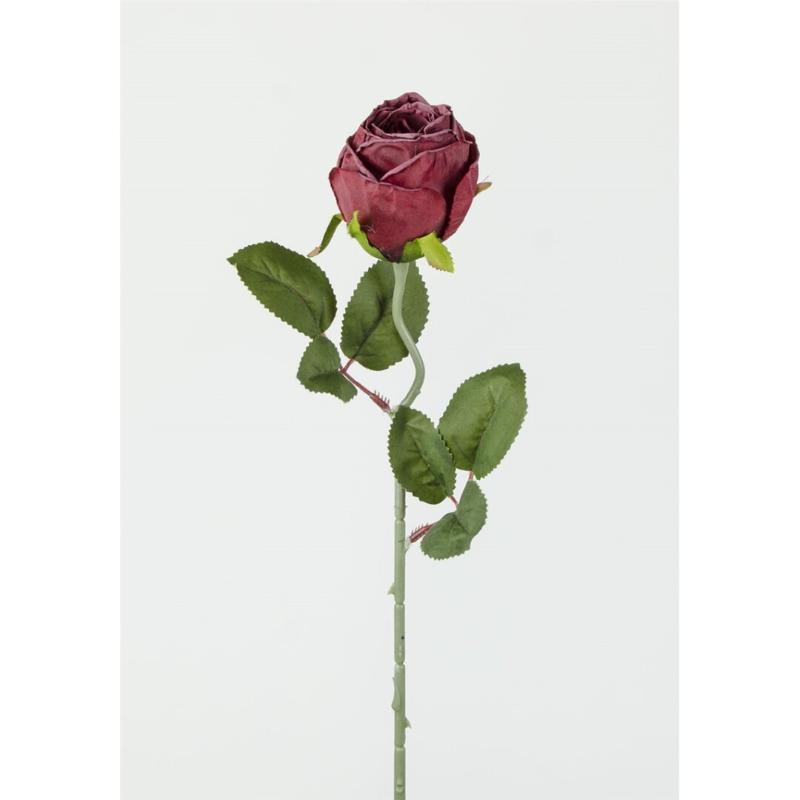 CAPULLO X1 51X6.5 CM TINTO
