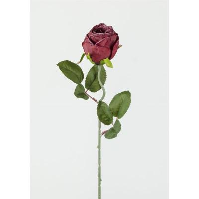 CAPULLO X1 51X6.5 CM TINTO