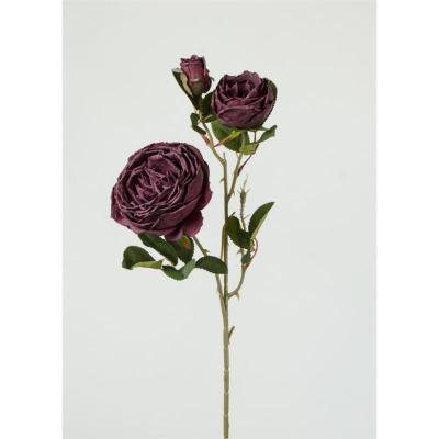 ROSA X3 60X10 CM TINTO