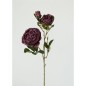 ROSA X3 60X10 CM TINTO