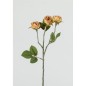 ROSAL X3 45X8 CM SALMON