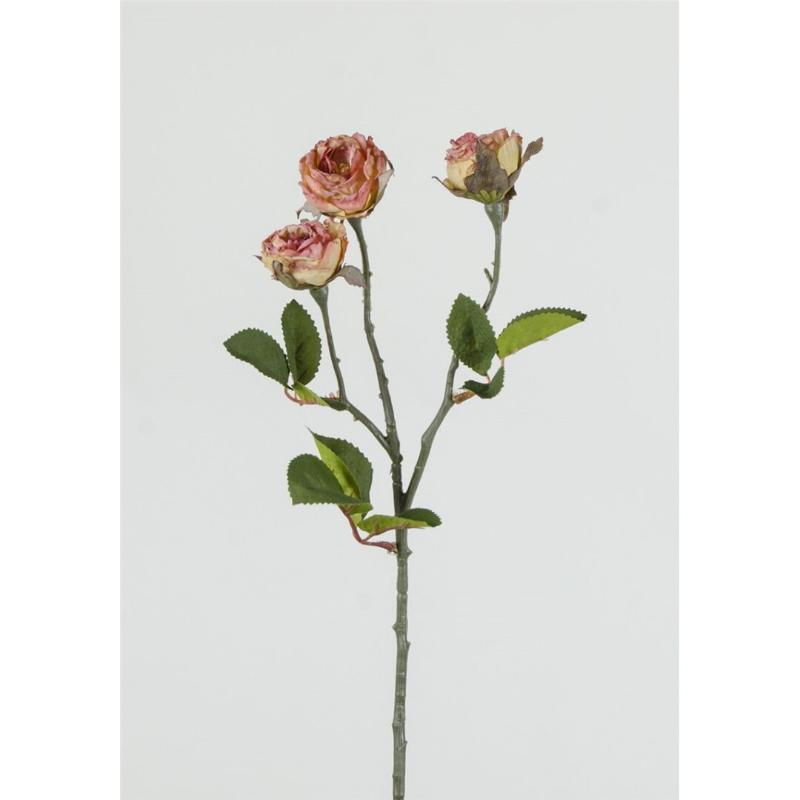 ROSAL X3 45X8 CM CORAL