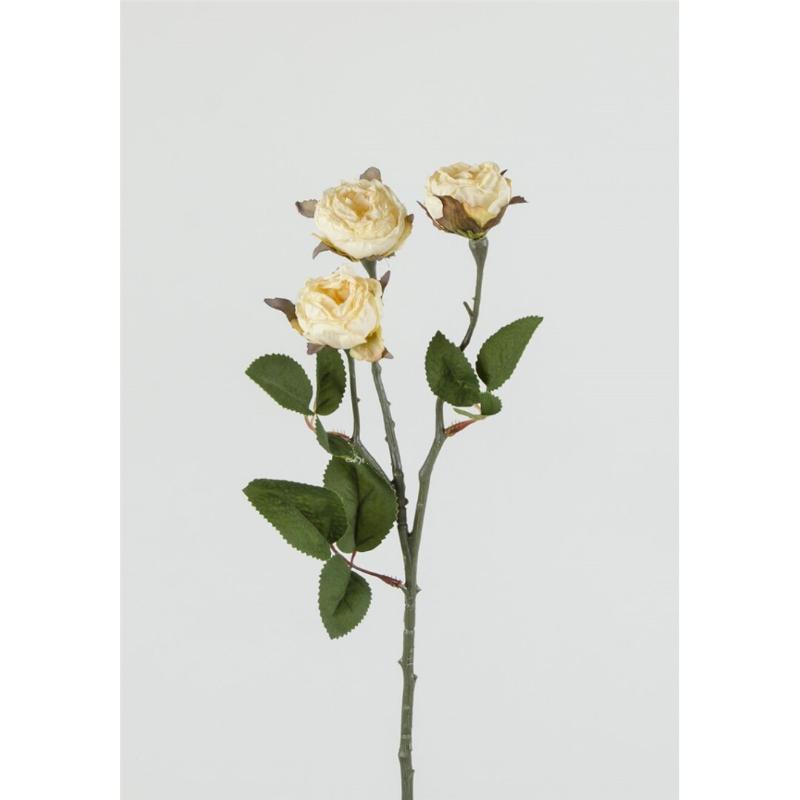 ROSAL X3 45X8 CM CREMA