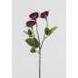 ROSAL X3 45X8 CM TINTO