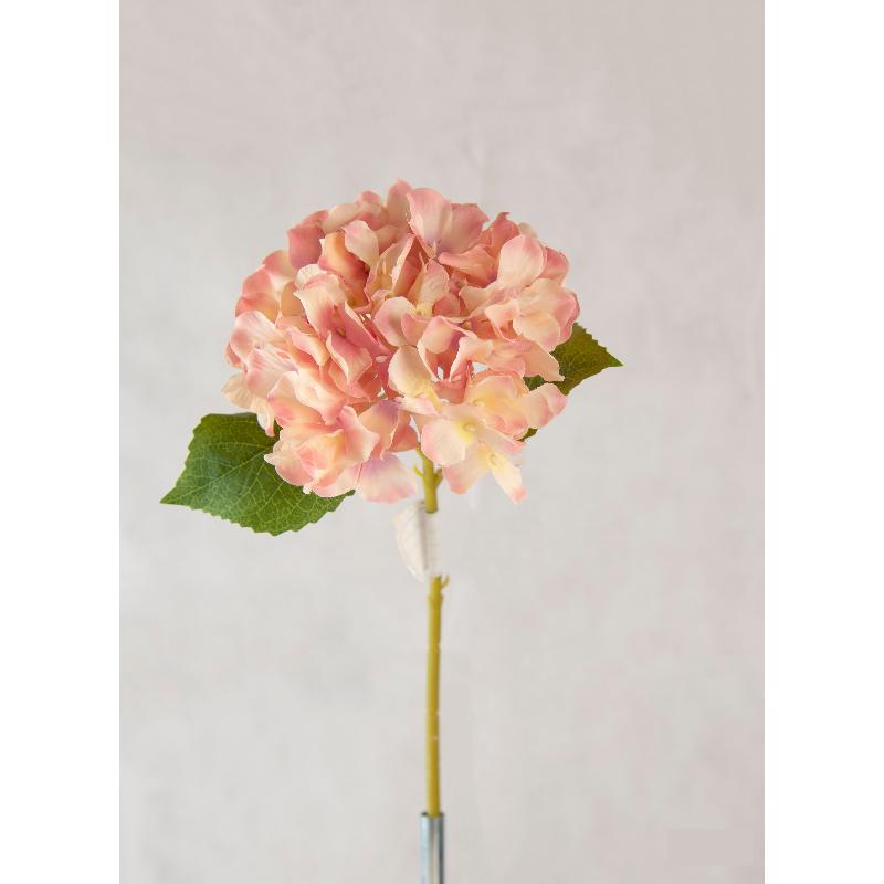 HORTENSIA NARANJA