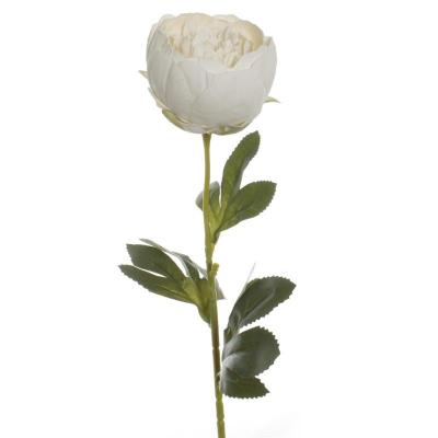 VARA PEONIA CERRADA BLANCO