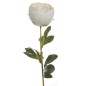 VARA PEONIA CERRADA BLANCO
