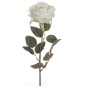 VARA ROSA INGLESA BLANCO