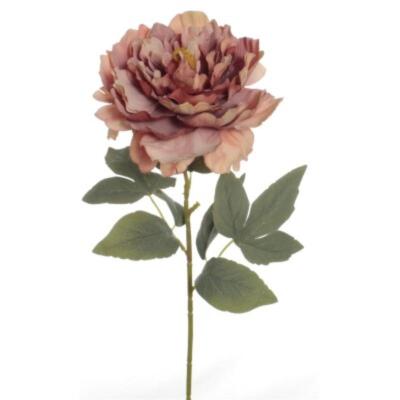 VARA PEONIA ABIERTA SALMON