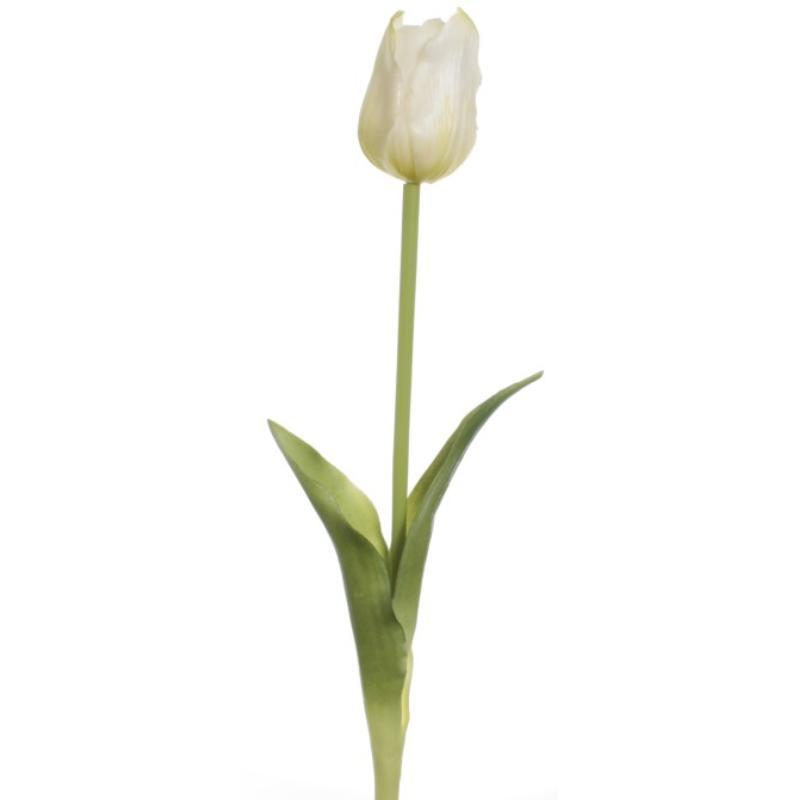 VARA TULIPAN GOMA BLANCO