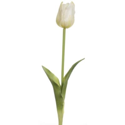 VARA TULIPAN GOMA BLANCO