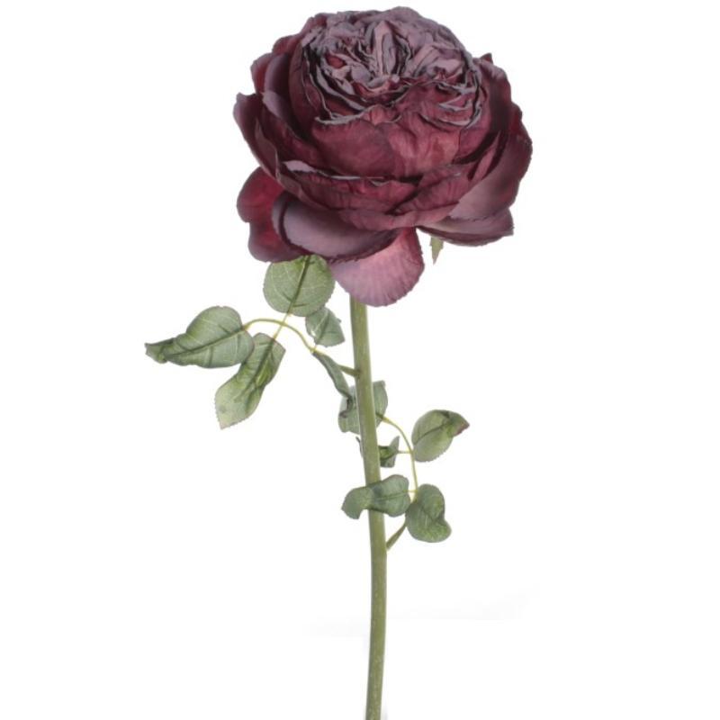 VARA PEONIA DRY BURDEOS