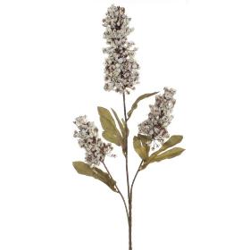 VARA RUMEX BLANCO