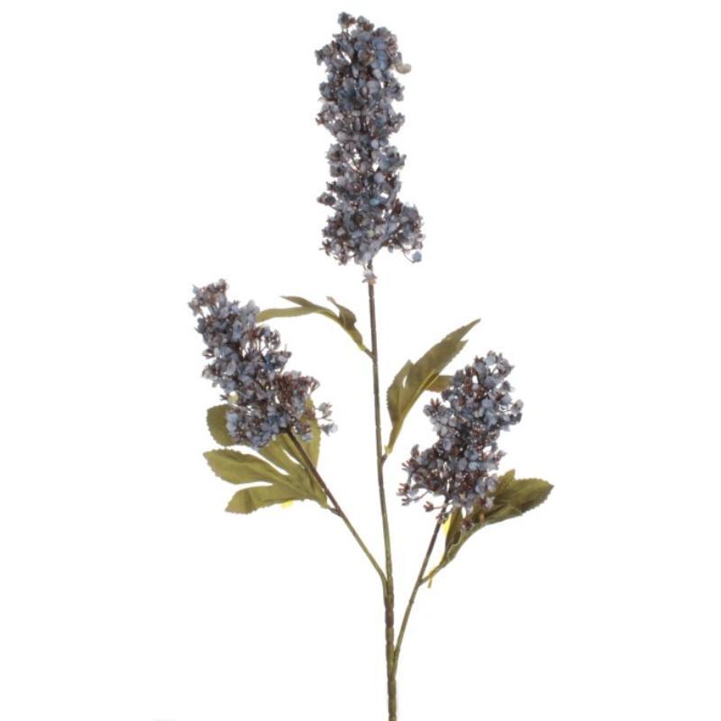 VARA RUMEX LILA