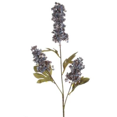 VARA RUMEX LILA