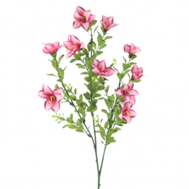 ALSTROMENIA MINI FUCSIA