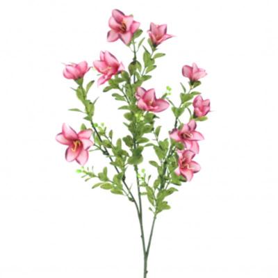 ALSTROMENIA MINI FUCSIA