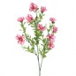 ALSTROMENIA MINI FUCSIA