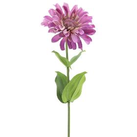 ZINNIA LILA