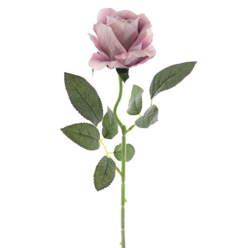 CAPULLO DE ROSA COLECCION CRIMSON MALVA