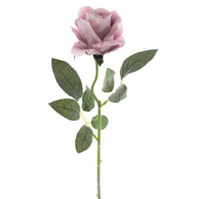 CAPULLO DE ROSA COLECCION CRIMSON MALVA
