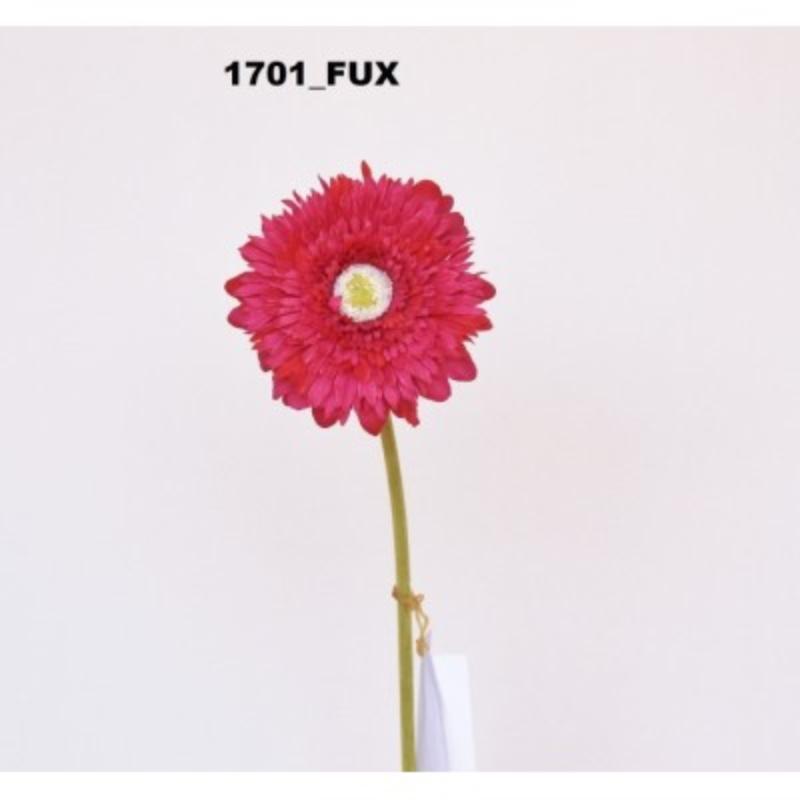 GERBERA FUCSIA