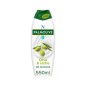N-B GEL 550 ML OLIVA