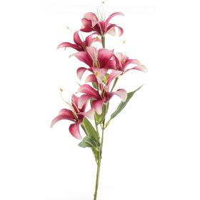 VARA LILIUM X6 BURDEOS