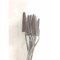 CANE CONE MARRON OSC X8 60 CM