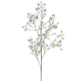 ARENARIA MONTANA AZUL