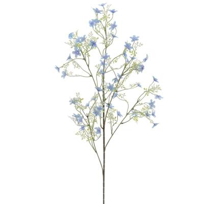 ARENARIA MONTANA AZUL