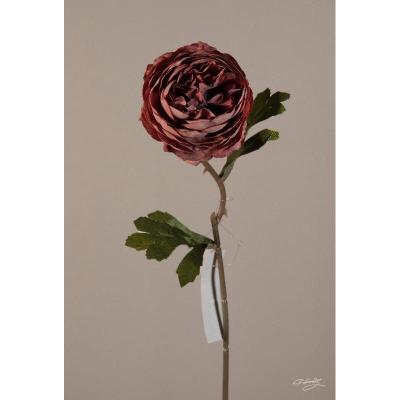 MINI PEONIA BURDEOS