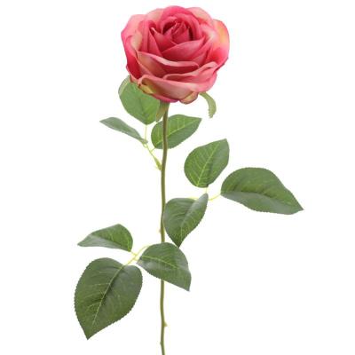 ROSA VENDELA FUCSIA