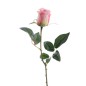 CAPULLO ROSA