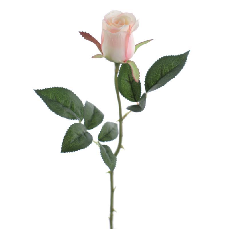 CAPULLO CREMA ROSA