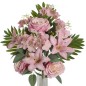 ENCARADO ROSA LILIUM ROSA