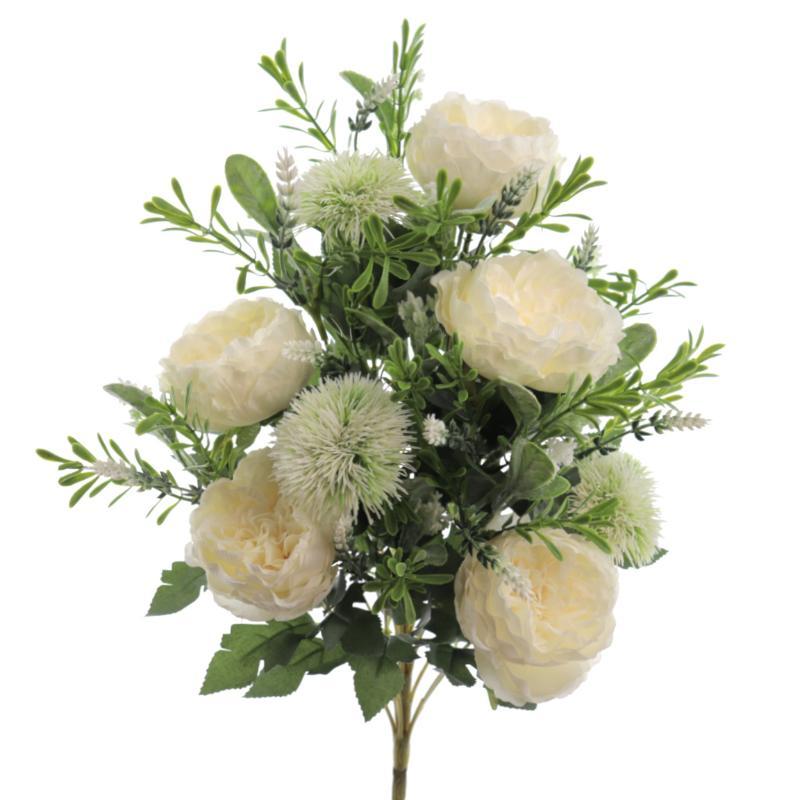 PALMA ROSA INGLESA ALLIUM CREMA