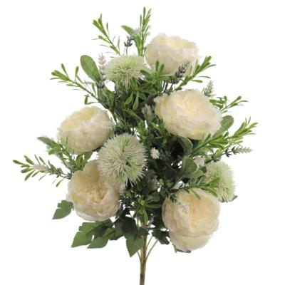 PALMA ROSA INGLESA ALLIUM CREMA