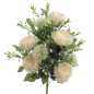 PALMA ROSA INGLESA ALLIUM CREMA