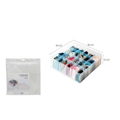 CAJA ORGANIZADORA PVC 24 COMPART. 30X30X10 CM