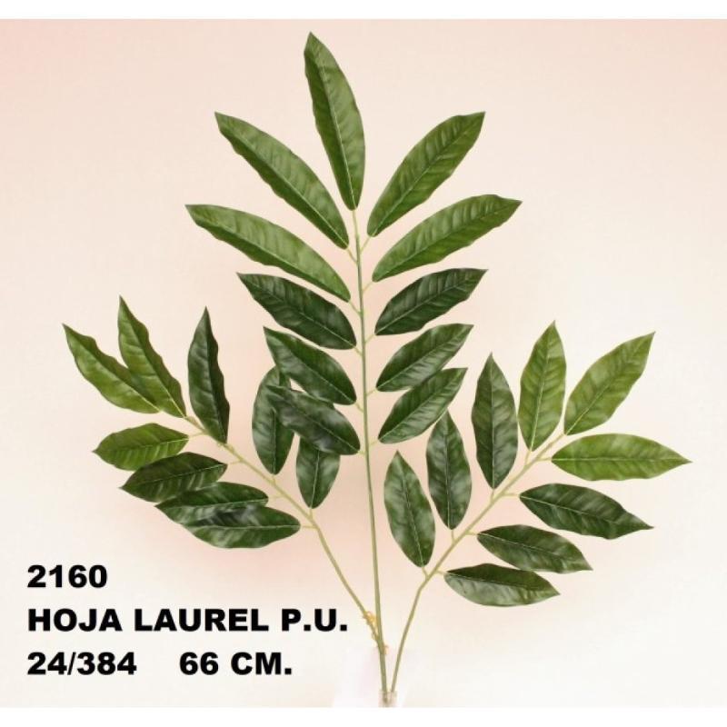 HOJA LAUREL P.U VERDE