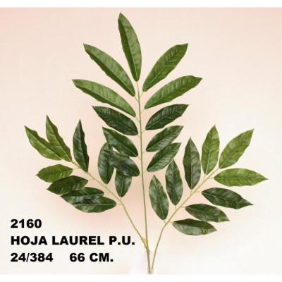 HOJA LAUREL P.U VERDE
