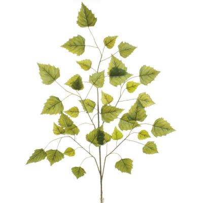 VARA HOJA DENTADA VERDE