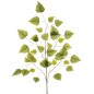 VARA HOJA DENTADA VERDE