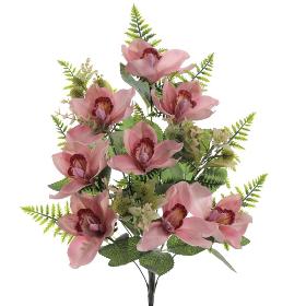 PALMA CYMBIDIUM ROSA