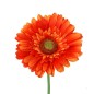 GERBERA NARANJA
