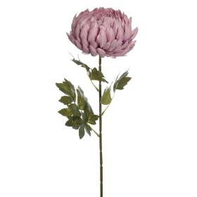 VARA CRISANTERMO ROSA