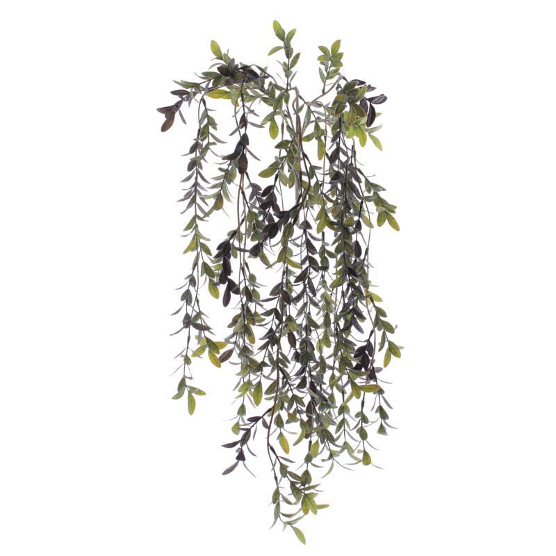 COLGANTE RUSCUS VERDE OSCURO
