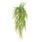 COLGANTE FERN VERDE