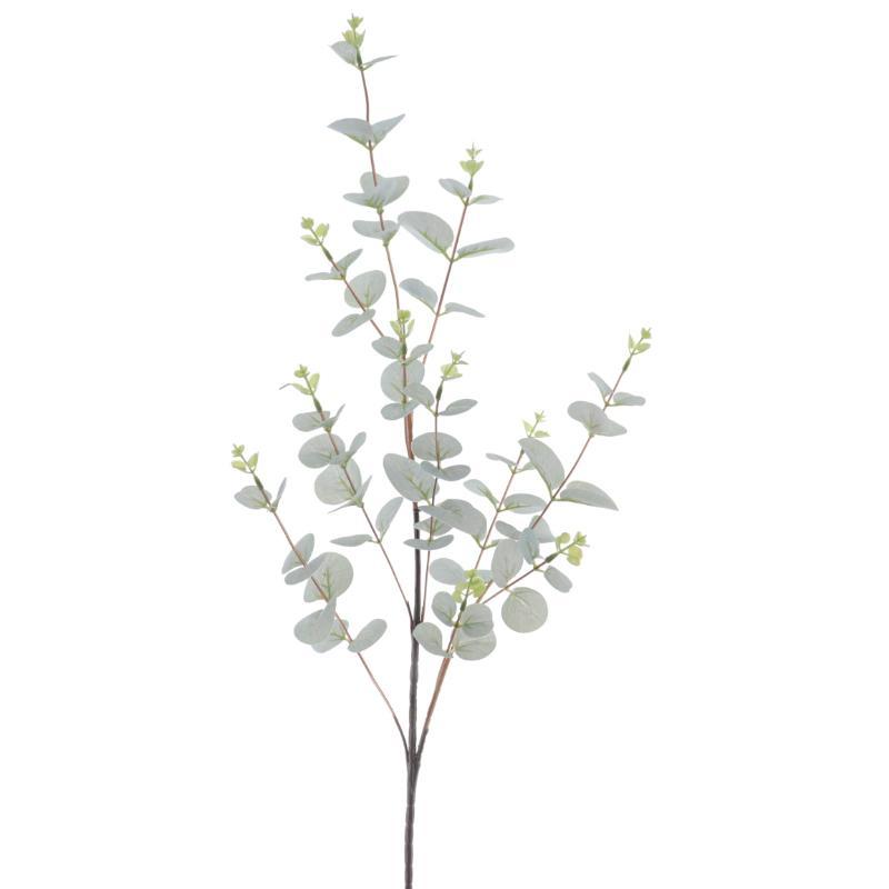 EUCALYPTUS VERDE CLARO